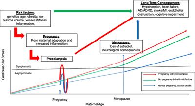 Preeclampsia and its relationship to pathological brain aging